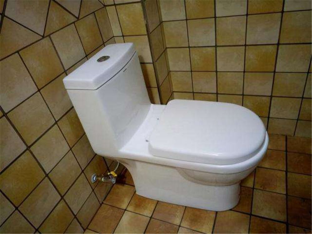 62d0bd843aae8.jpg 8.jpg